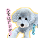 わたしとわんこの気持ち。（個別スタンプ：4）