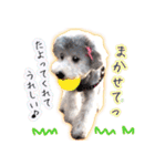 わたしとわんこの気持ち。（個別スタンプ：10）