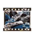 Lovecat,Loveneco（個別スタンプ：3）