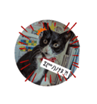 Lovecat,Loveneco（個別スタンプ：5）