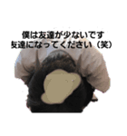 すいませんスタンプ（個別スタンプ：2）