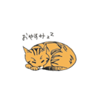 猫のモカマタリNo.9【カラーver.】（個別スタンプ：5）