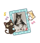 ニャーコ＆ペロ セカンドシーズン（個別スタンプ：4）