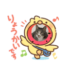 ニャーコ＆ペロ セカンドシーズン（個別スタンプ：9）