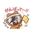 ニャーコ＆ペロ セカンドシーズン（個別スタンプ：11）