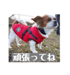 アビー2020秋（個別スタンプ：9）