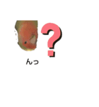 こざくらインコちゃん（個別スタンプ：7）