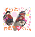仲良しチヮワのマナとココ（スペシャル）（個別スタンプ：21）