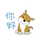 柴犬兄弟 - 愛玉とセンソウ 1 - 日常会話（個別スタンプ：2）