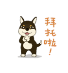 柴犬兄弟 - 愛玉とセンソウ 1 - 日常会話（個別スタンプ：9）