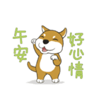 柴犬兄弟 - 愛玉とセンソウ 1 - 日常会話（個別スタンプ：10）