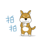 柴犬兄弟 - 愛玉とセンソウ 1 - 日常会話（個別スタンプ：16）