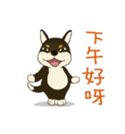 柴犬兄弟 - 愛玉とセンソウ 1 - 日常会話（個別スタンプ：19）