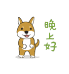 柴犬兄弟 - 愛玉とセンソウ 1 - 日常会話（個別スタンプ：22）