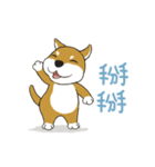 柴犬兄弟 - 愛玉とセンソウ 1 - 日常会話（個別スタンプ：24）