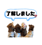 4チョコタンby晩ママ（個別スタンプ：8）