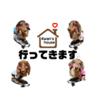 4チョコタンby晩ママ（個別スタンプ：9）