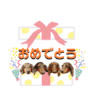 4チョコタンby晩ママ（個別スタンプ：12）