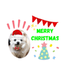 nagisa's dog（個別スタンプ：2）