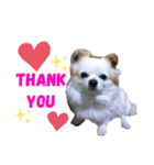 nagisa's dog（個別スタンプ：3）
