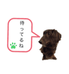 nagisa's dog（個別スタンプ：9）