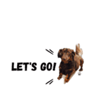 nagisa's dog（個別スタンプ：10）