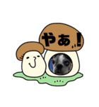 やっぱりココアでしょ！！（個別スタンプ：3）