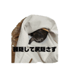 やっぱりココアでしょ！！（個別スタンプ：4）