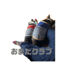 やっぱりココアでしょ！！（個別スタンプ：5）