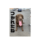 やっぱりココアでしょ！！（個別スタンプ：16）