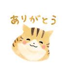 ほんわか仲良しねこ（個別スタンプ：4）