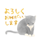 ほんわか仲良しねこ（個別スタンプ：5）