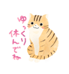 ほんわか仲良しねこ（個別スタンプ：11）