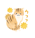 ほんわか仲良しねこ（個別スタンプ：16）