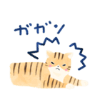 ほんわか仲良しねこ（個別スタンプ：27）