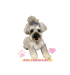 ベりーとしゅなまる（個別スタンプ：3）