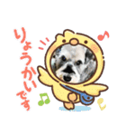 ベりーとしゅなまる（個別スタンプ：6）