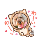 ベりーとしゅなまる（個別スタンプ：9）