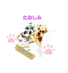 ベりーとしゅなまる（個別スタンプ：18）