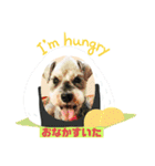 ベりーとしゅなまる（個別スタンプ：22）