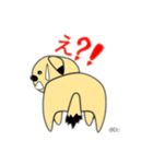愛犬あづき@DU（個別スタンプ：13）