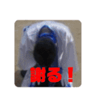 1＋1＝？（個別スタンプ：18）