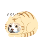 ミルクboy（個別スタンプ：7）