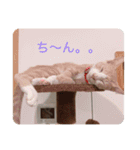 ミルクboy（個別スタンプ：8）