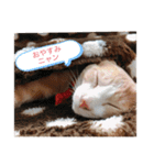 ミルクboy（個別スタンプ：14）