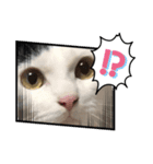 ヨモスタ（個別スタンプ：1）