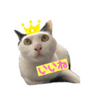 ヨモスタ（個別スタンプ：3）