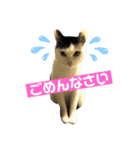 ヨモスタ（個別スタンプ：4）