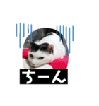 ヨモスタ（個別スタンプ：7）