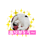 ヨモスタ（個別スタンプ：8）